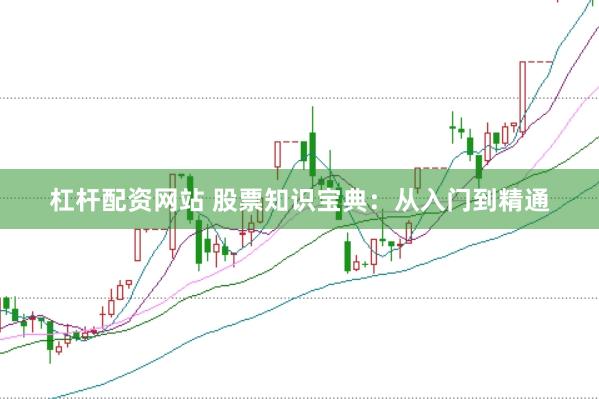 杠杆配资网站 股票知识宝典：从入门到精通