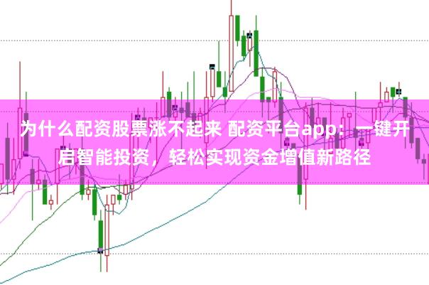 为什么配资股票涨不起来 配资平台app:一键开启智能投资,轻松实现资金增值新路径