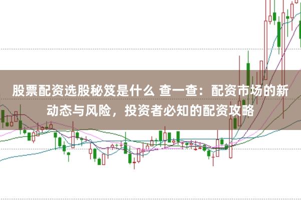 股票配资选股秘笈是什么 查一查:配资市场的新动态与风险,投资者必知的配资攻略