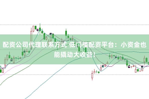配资公司代理联系方式 低门槛配资平台：小资金也能撬动大收益！