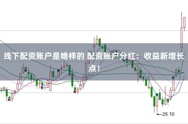 线下配资账户是啥样的 配资账户分红:收益新增长点!
