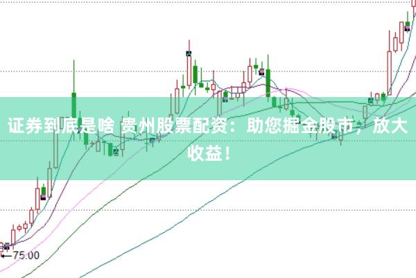 证券到底是啥 贵州股票配资：助您掘金股市，放大收益！
