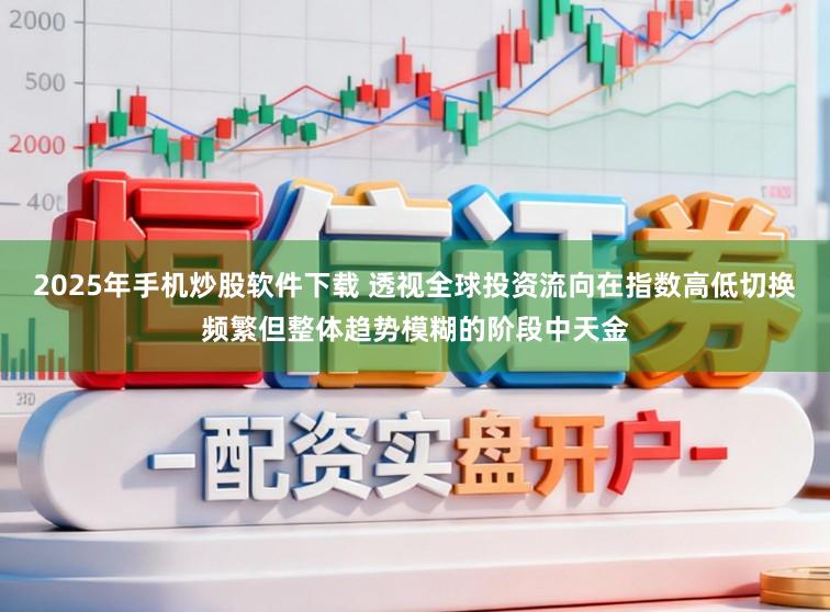 2025年手机炒股软件下载 透视全球投资流向在指数高低切换频繁但整体趋势模糊的阶段中天金
