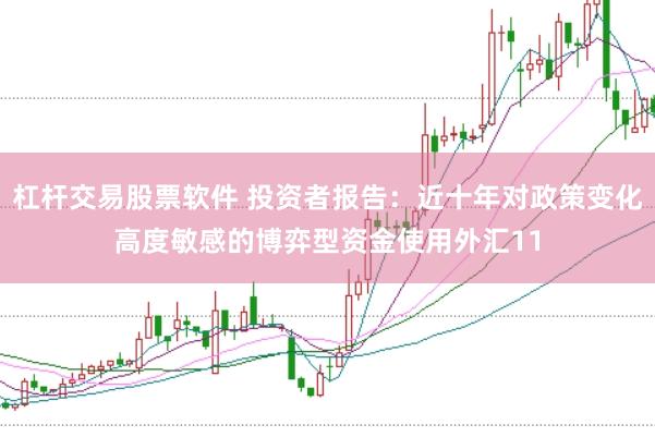 杠杆交易股票软件 投资者报告：近十年对政策变化高度敏感的博弈型资金使用外汇11