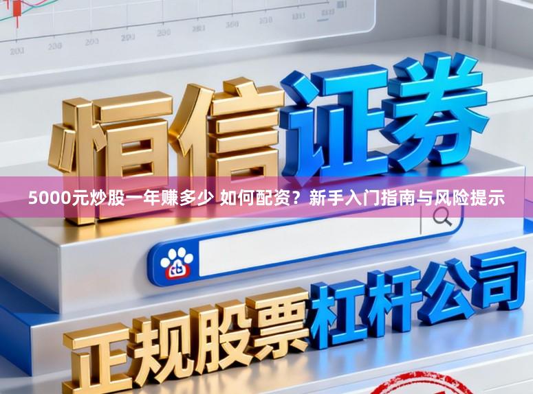 5000元炒股一年赚多少 如何配资?新手入门指南与风险提示