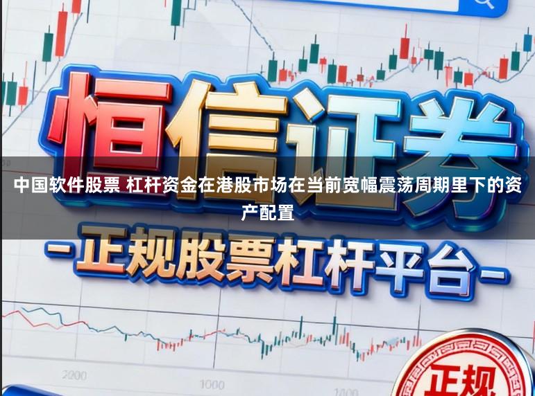中国软件股票 杠杆资金在港股市场在当前宽幅震荡周期里下的资产配置